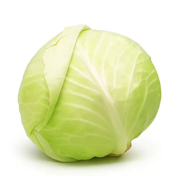 Капуста белокочанная