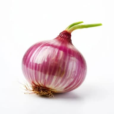 Лук