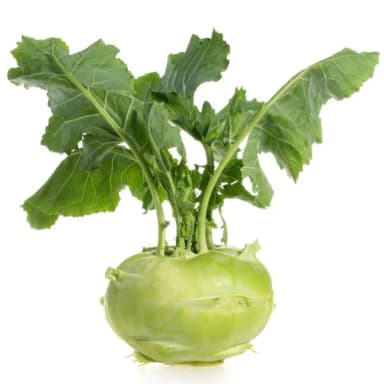 Капуста кольраби