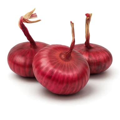 Лук красный «ялтинский»