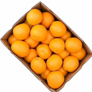 Апельсины (Турция) ОПТ