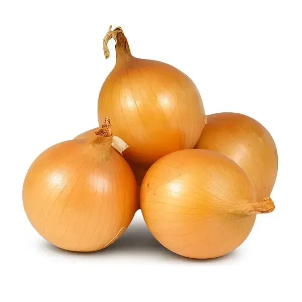 Лук репчатый