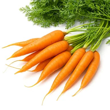 Морковь молодая с ботвой