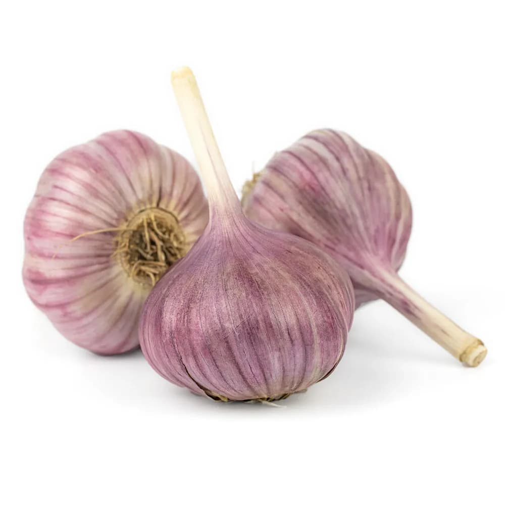 Чеснок отборный