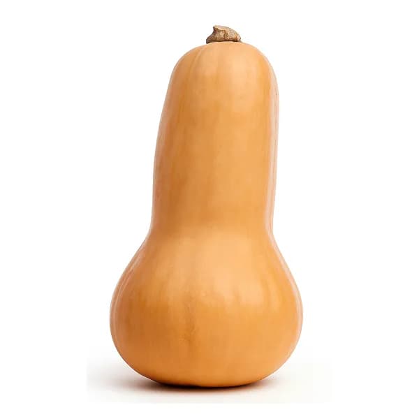 Тыква мускатная жемчужина