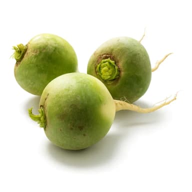 Редька зеленая