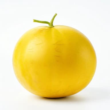Дыня